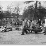Interior of Belsen Concentration Camp