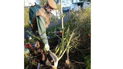 BBC Radio Foyle - Breathing Places Gallery
