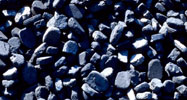 Coal