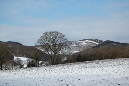 Moel Famau. Photo: Val Jones