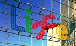 Are the potential benefits of Gene Therapy worth the risk?