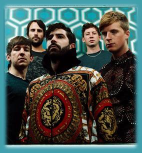 foals