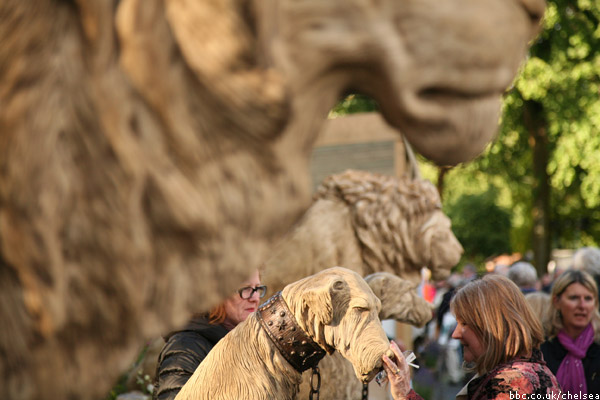 Chelsea Flower Show 2011