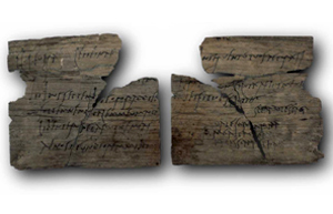 Archaeology Archaeology