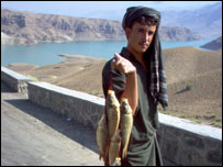 کب نيوونکی
