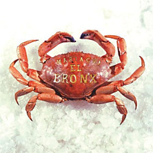 Review of Mariachi El Bronx