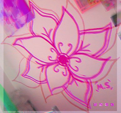 Editing My Painting of a Flower on My Wall