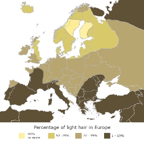 blond_hair_map.jpg