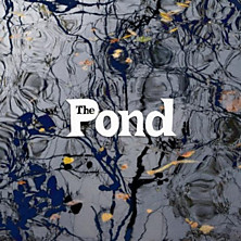 Review of The Pond