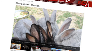 Your photos on the theme of 10