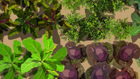 A detail from the takeaway plan