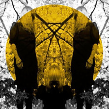 Review of Feel It Break 