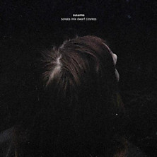 Review of Sonata Mix Dwarf Cosmos Review of Sonata Mix Dwarf Cosmos