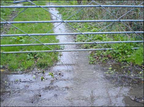 Bristol-Bath Cycle Path - pic Scott and Elliot