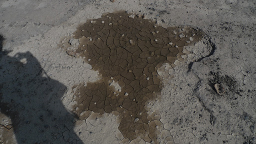 Alright - who tipped the giant mug of coffee?