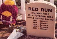 Red Rum's grave
