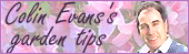 Colin Evans's gardening tips