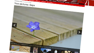 Your pictures of the week