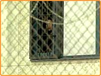 بےبسی کا احساس