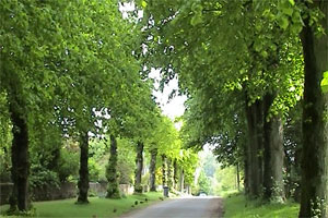 Sometimes, Allan just needs to get away from it all