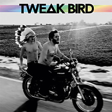 Review of Tweak Bird