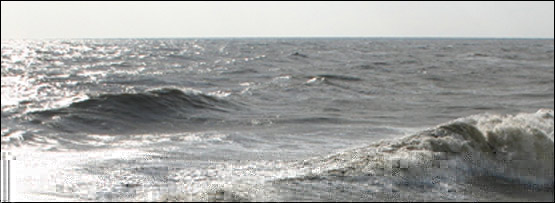 Sea
