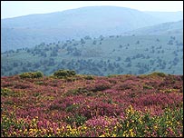 The Quantock Hills