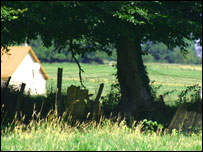 A tree and a house in the Normandy countryside