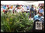 stalls at springwatch
