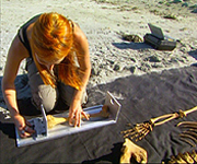 Alice Roberts measuring a bone from the skeleton found at the settlement