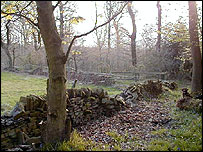 Nabs Wood wall in disrepair