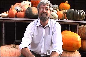 Clive Groves - Punpkin