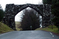 Bwa yn croesi'r ffordd rhwng Cwmystwyth a Phontarfynach