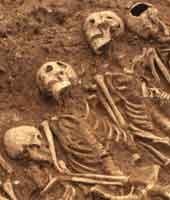 Skeletons found at Spitalfields