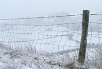Spring time in Ireland