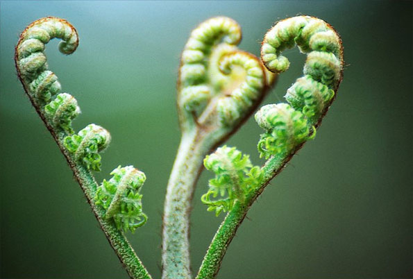 Photo by Nigel Clarke