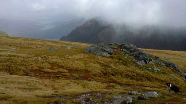 A view down a mountain with a collie dog in the distance