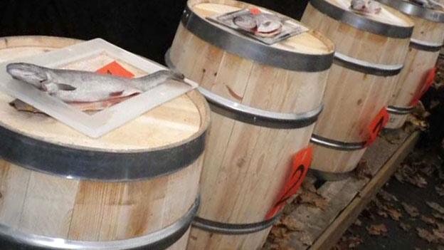 装鱼的密闭木桶