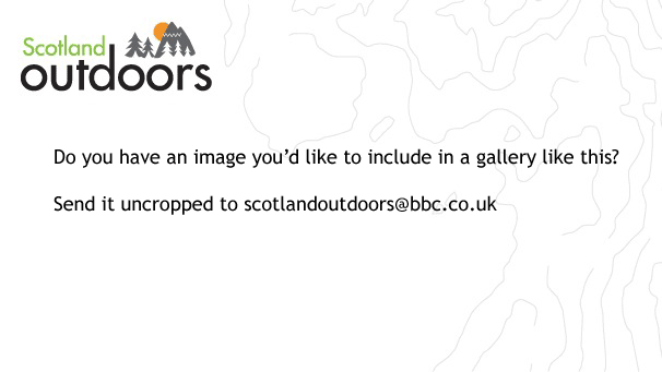 Information about submitting pictures