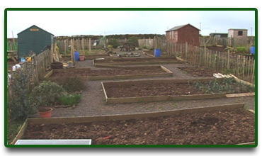 The Allotment in March