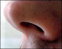 ہم جنس پرست دوسرے ہم جنس پرست کا سونگھ کر پتہ لگانے کے ماہر ہوتے ہیں