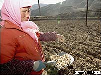 کشاورز چینی