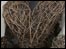 Willow weaving hearts