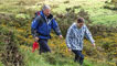 Becky and Derek walk through the gorse. 