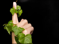 A hand wrapped in ivy