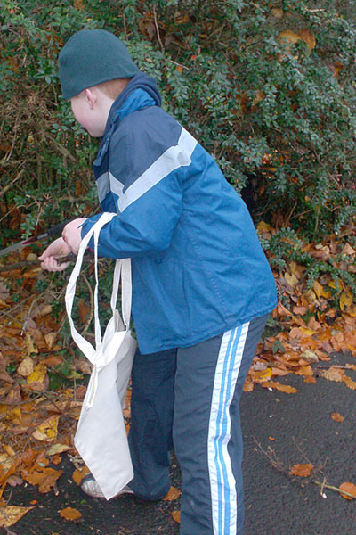 Young boy raking