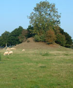Norman Motte at Little Ness