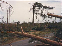Bromeswell to Butley road, by David Isaac