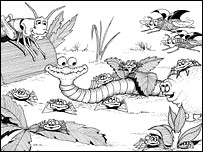 Comical drawing of bugs