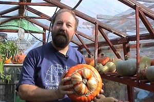 John Davison from Southampton is a man who simply loves his pumpkins but you won't believe what he does with them.